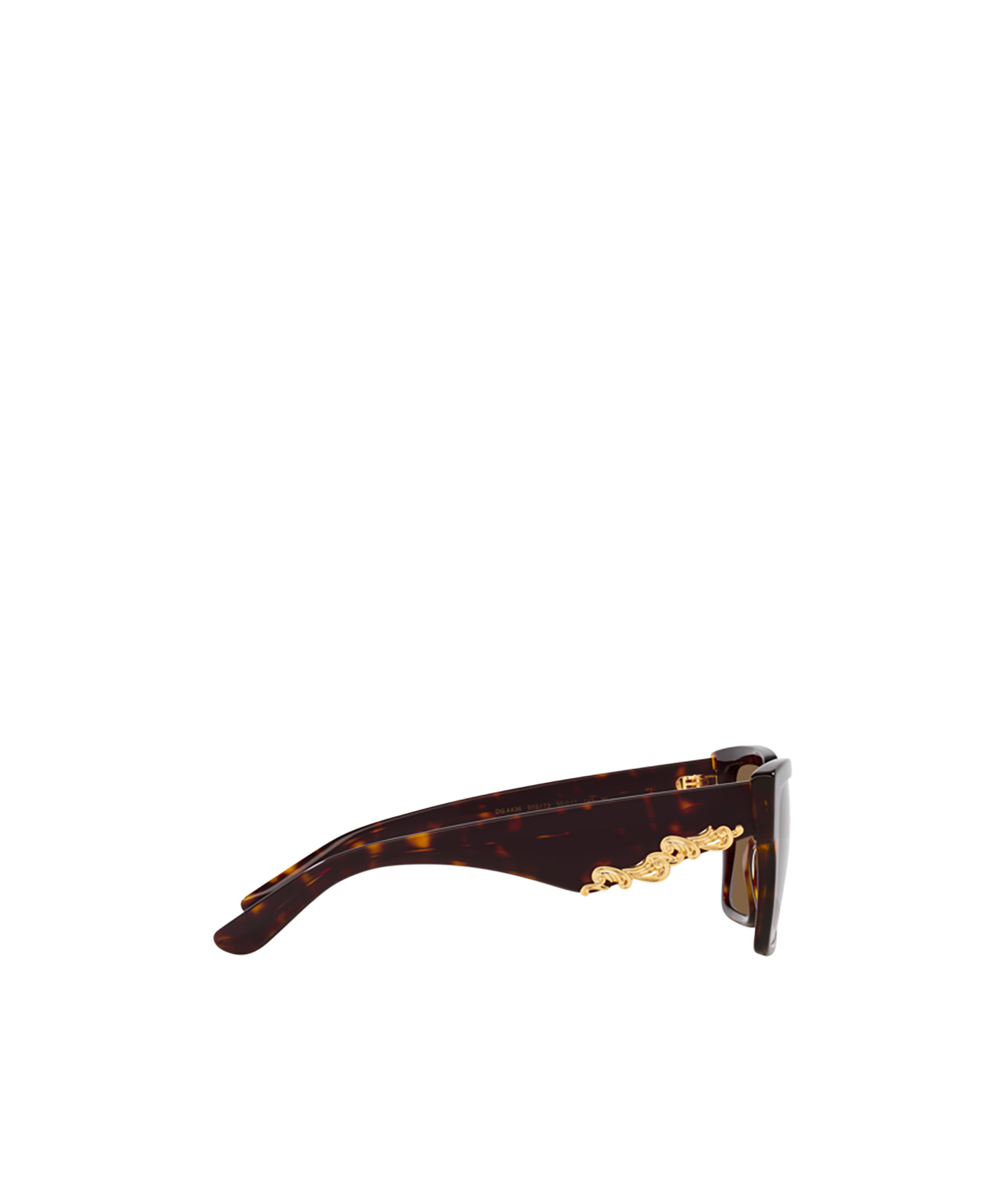 Dolce & Gabbana Frame Sunglasses In Havana