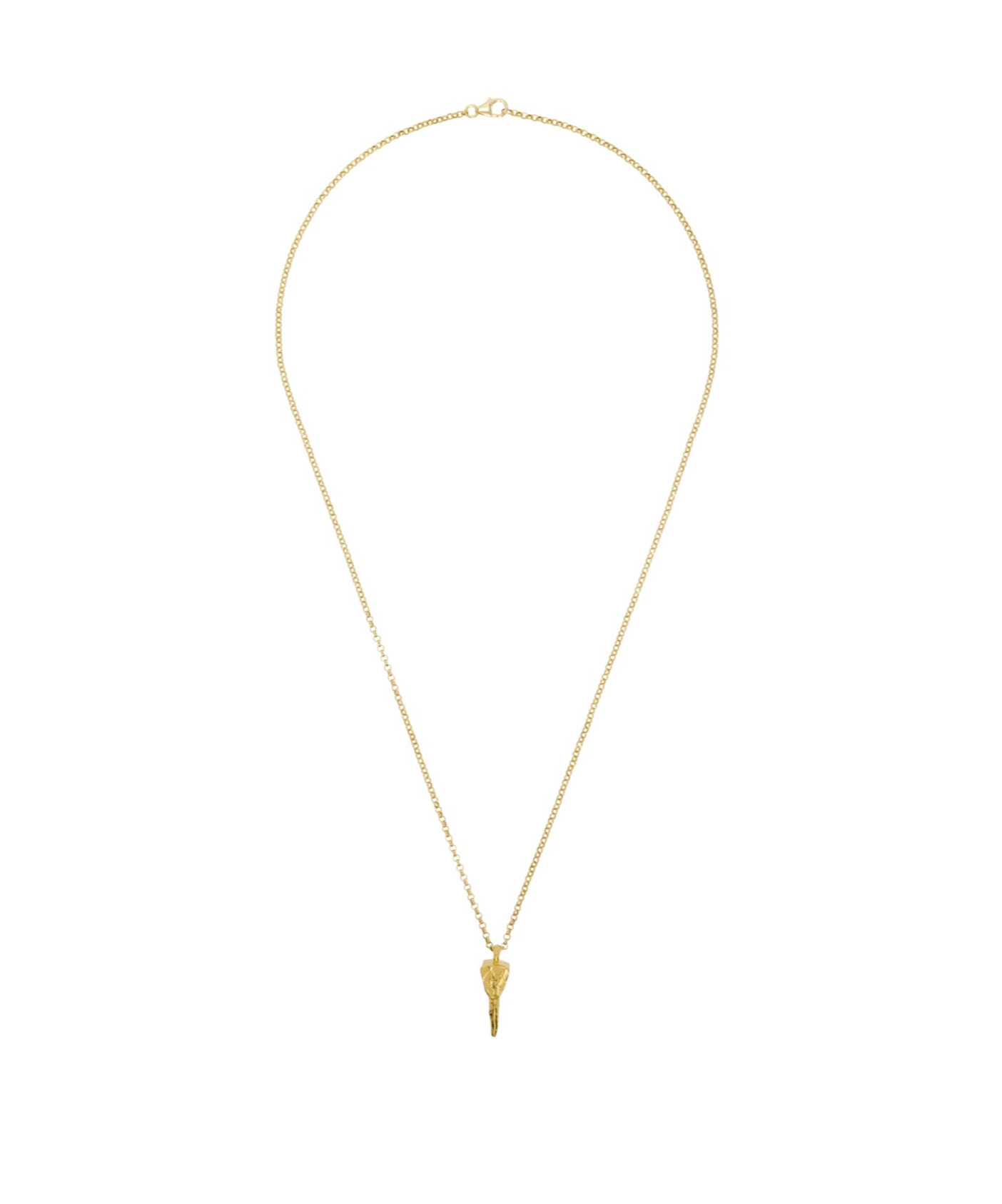 Alighieri The Mark Of The Future Pendant Necklace In Yellow