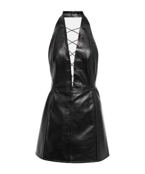 Petar Petrov Atkins V-neck Leather Mini Dress In Black