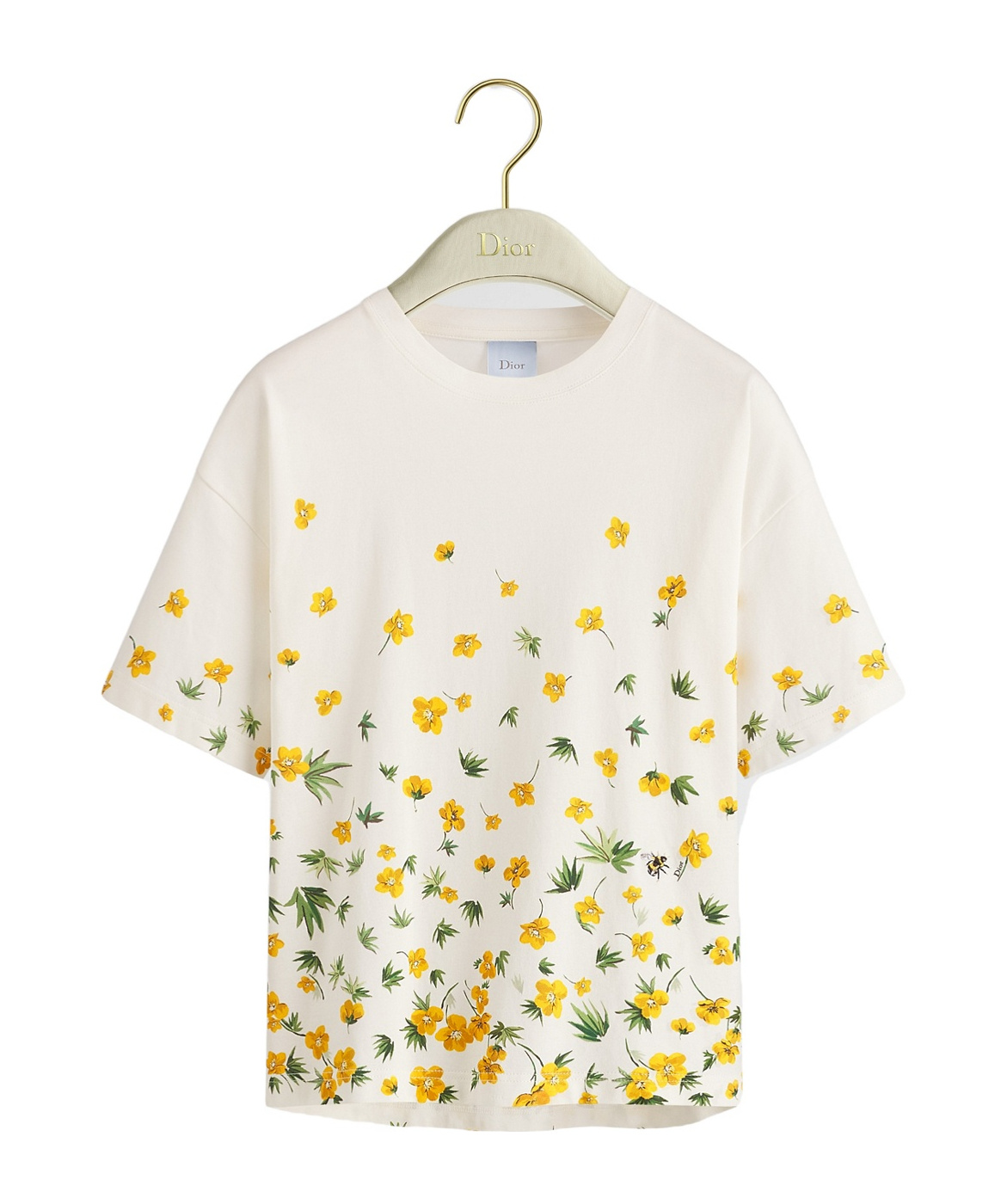 Dior Oversized Cropped T-shirt In Multi