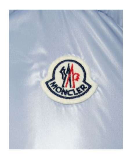 Moncler Down Jacket In Blue