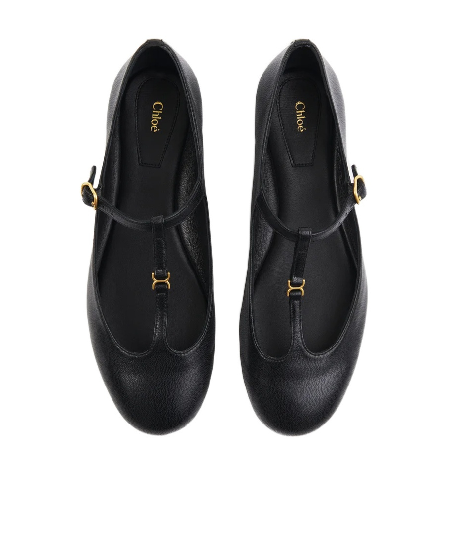 Chloé Marcie Mary-jane Python Print Leather Ballet Flats In Black
