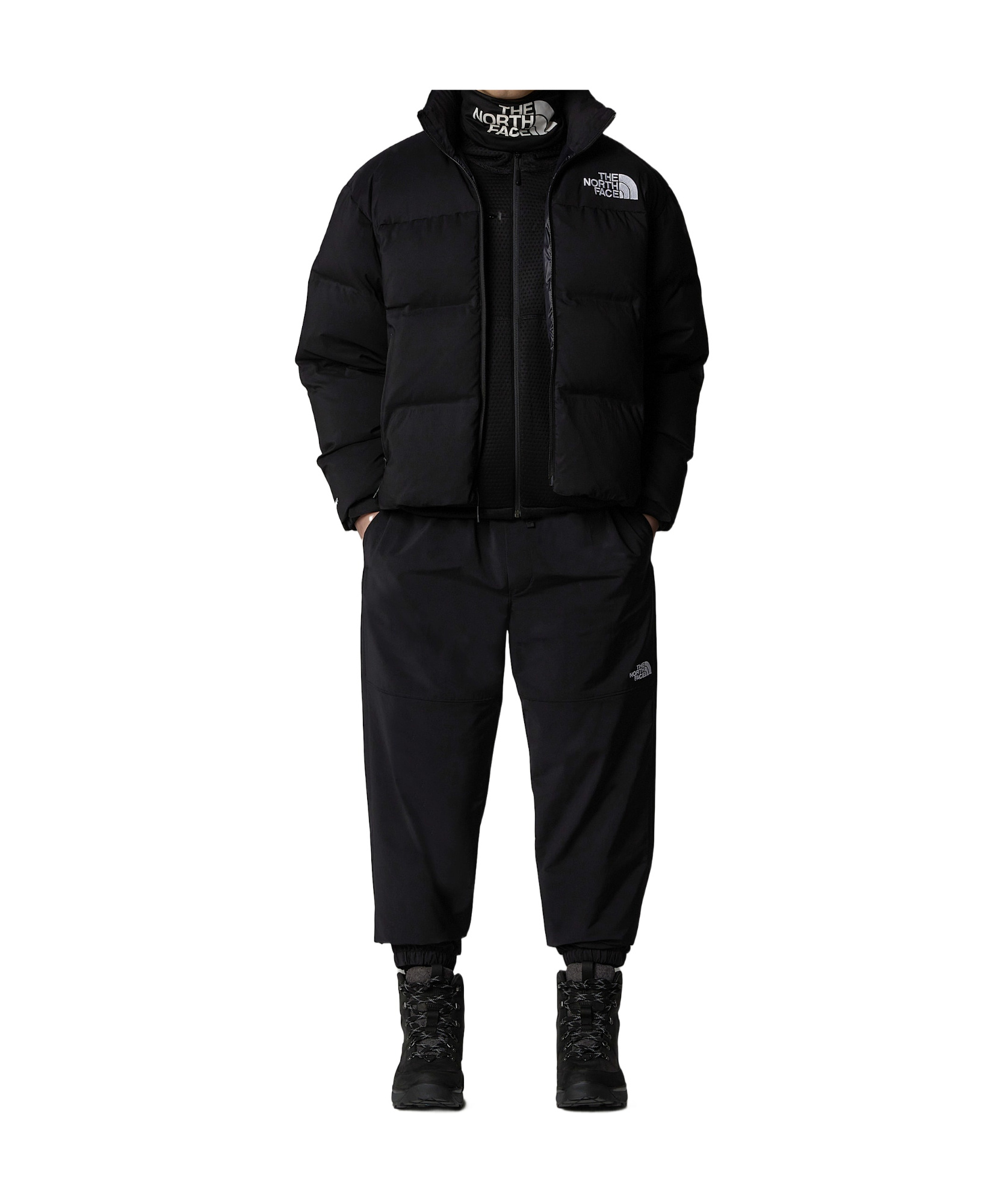 The North Face 1996 Retro Nuptse 700 Fill Power Down Packable Jacket In Black