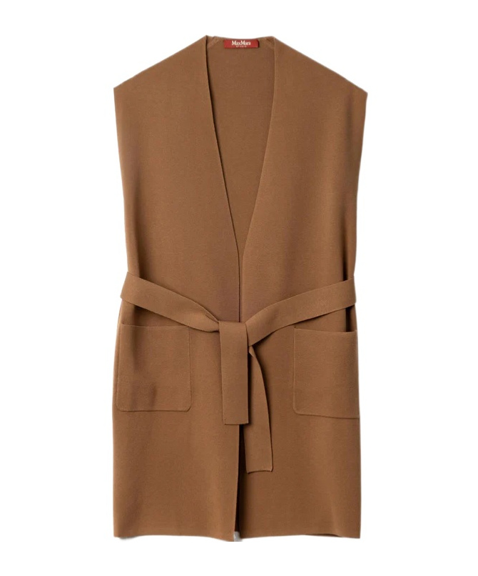 Max Mara V-neck Sleeveless Sweater In Brown