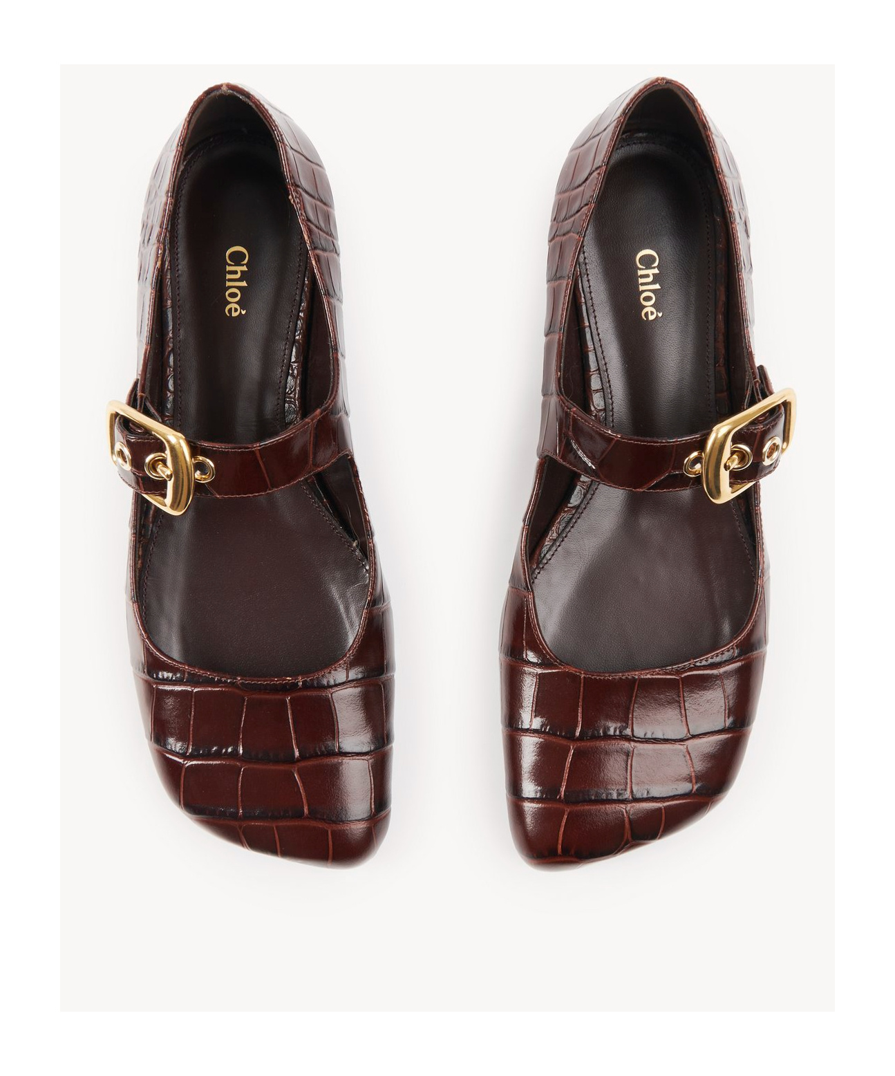 Chloé Polly Ballet Shoes In Brown