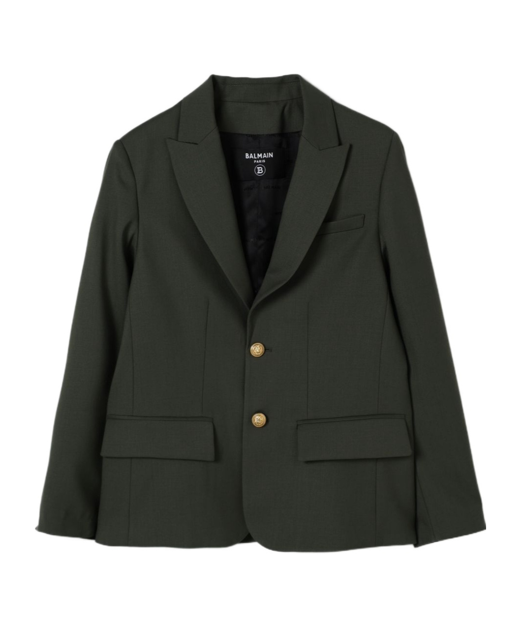 Balmain Long Sleeve Jacket In Green