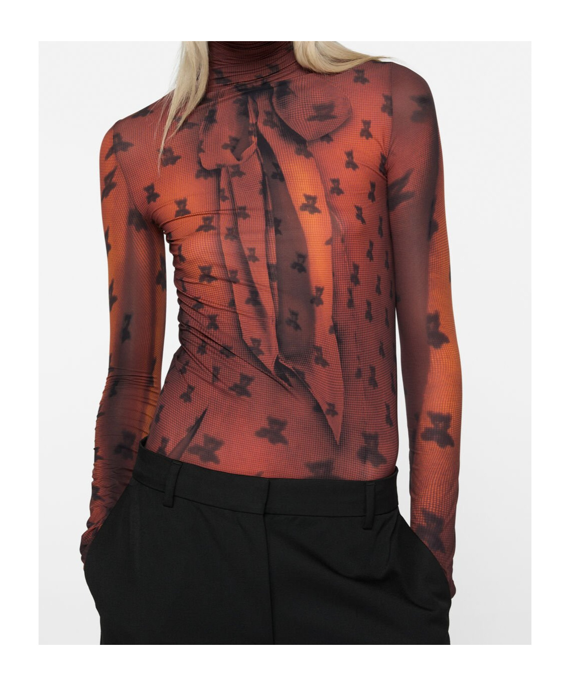 Acne Studios Edenise Teddy Print Long Sleeve Mesh Top In Brown
