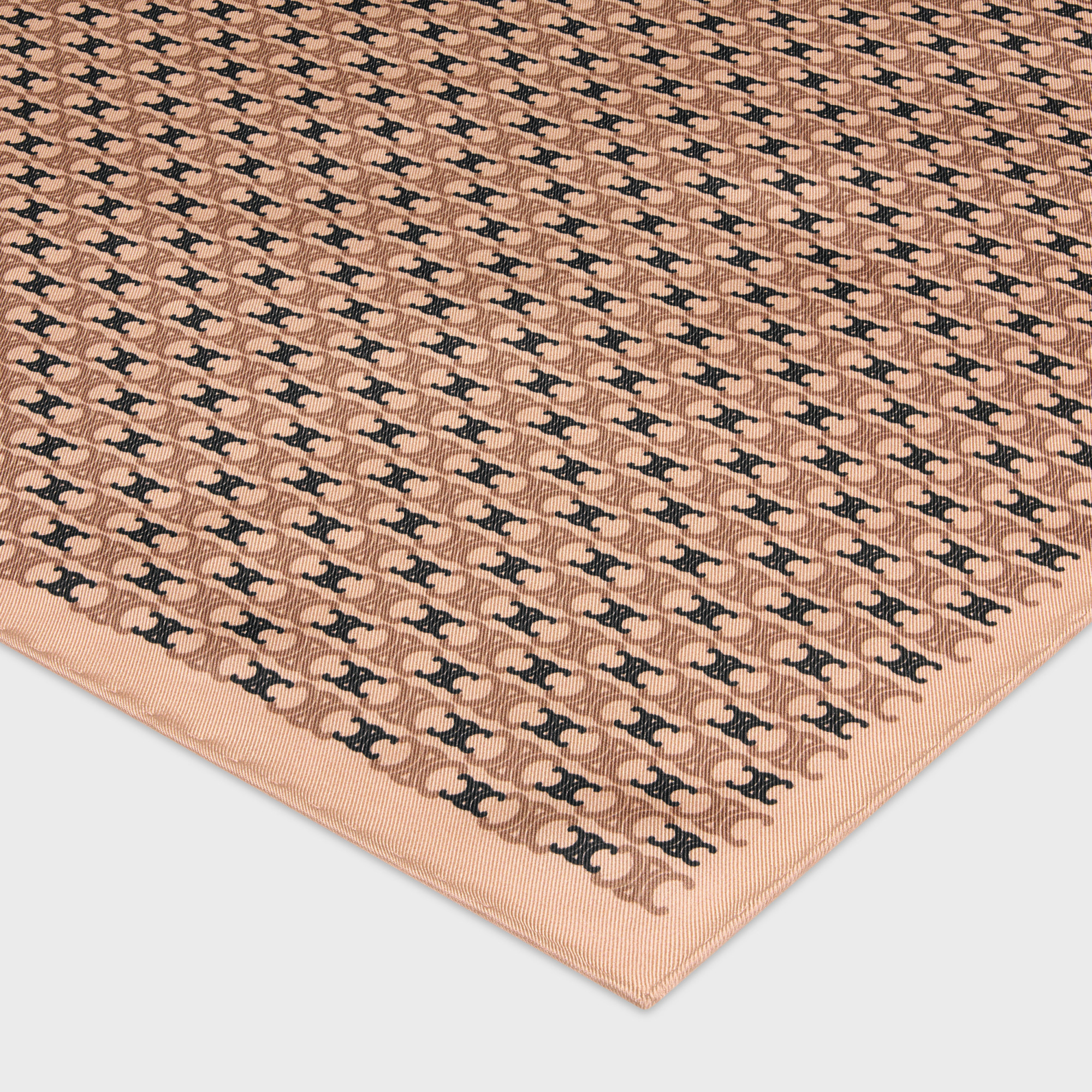 Celine Pattern Silk Scarf In Nude