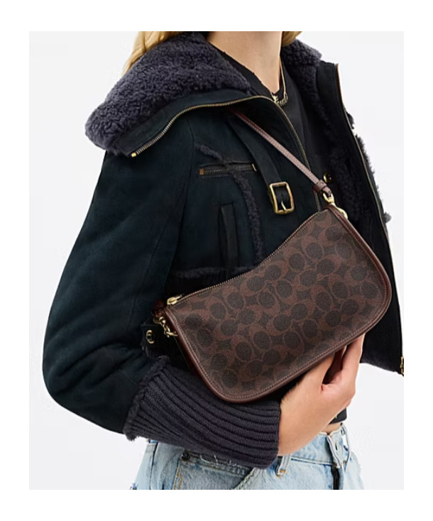 Coach Zipper Shoulder Bag In Brown