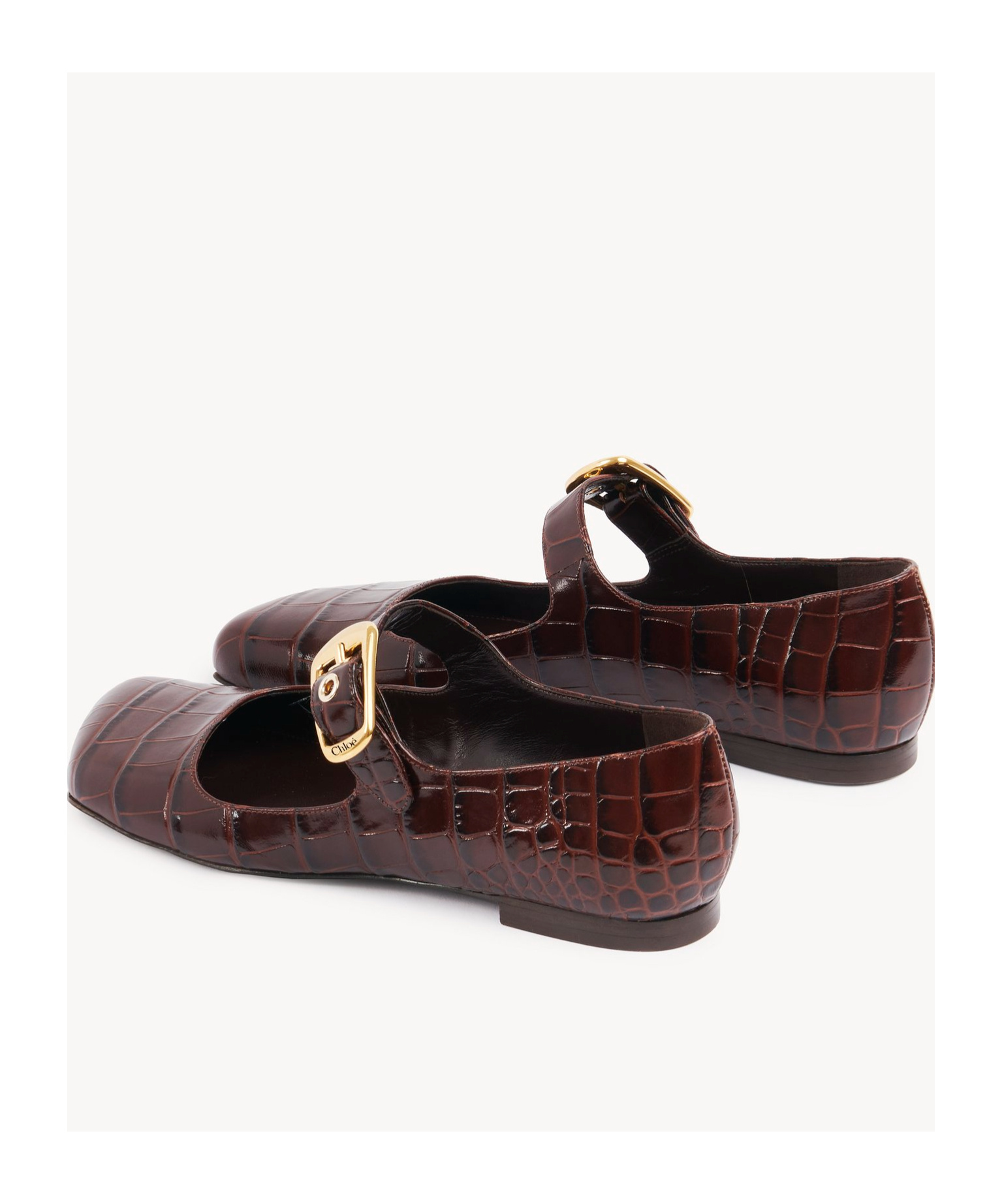 Chloé Polly Ballet Shoes In Brown