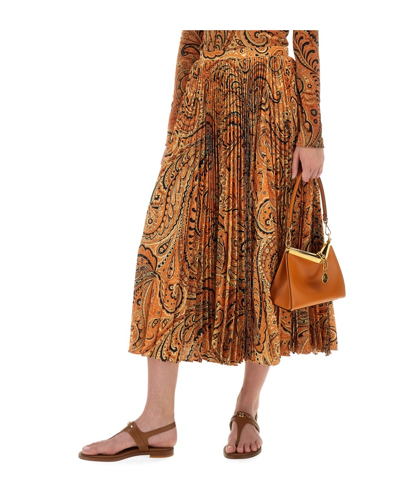 Etro Midi Paisley-print Pleated Skirt In Brown