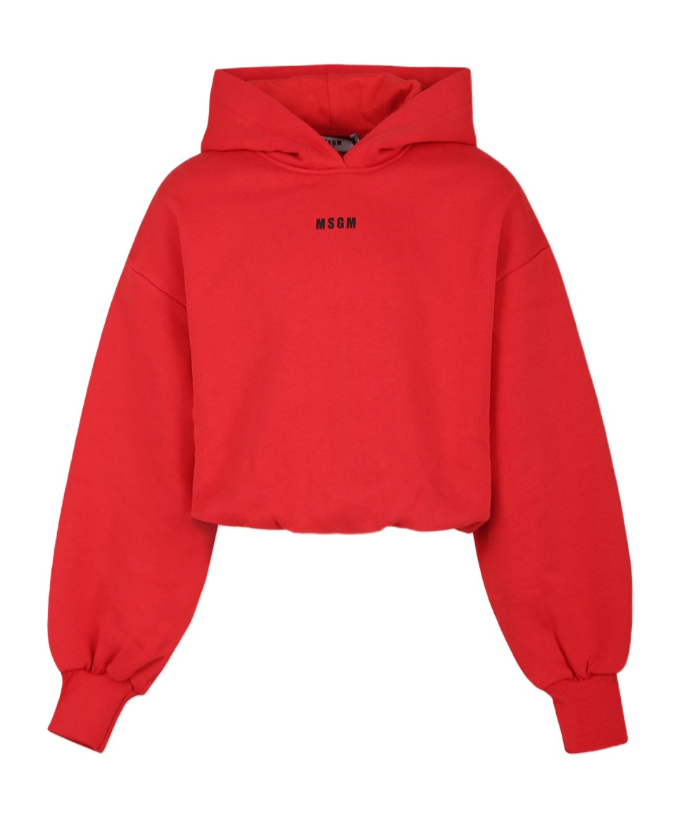 Shop Msgm Logo-embroidered Hoodie In Red