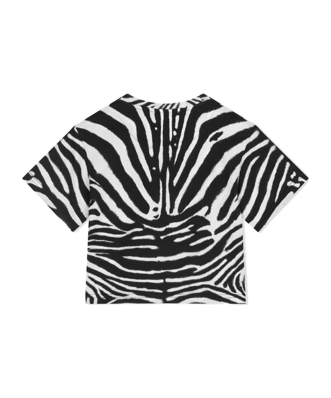 Dolce & Gabbana Zebra-print Cotton T-shirt In Black