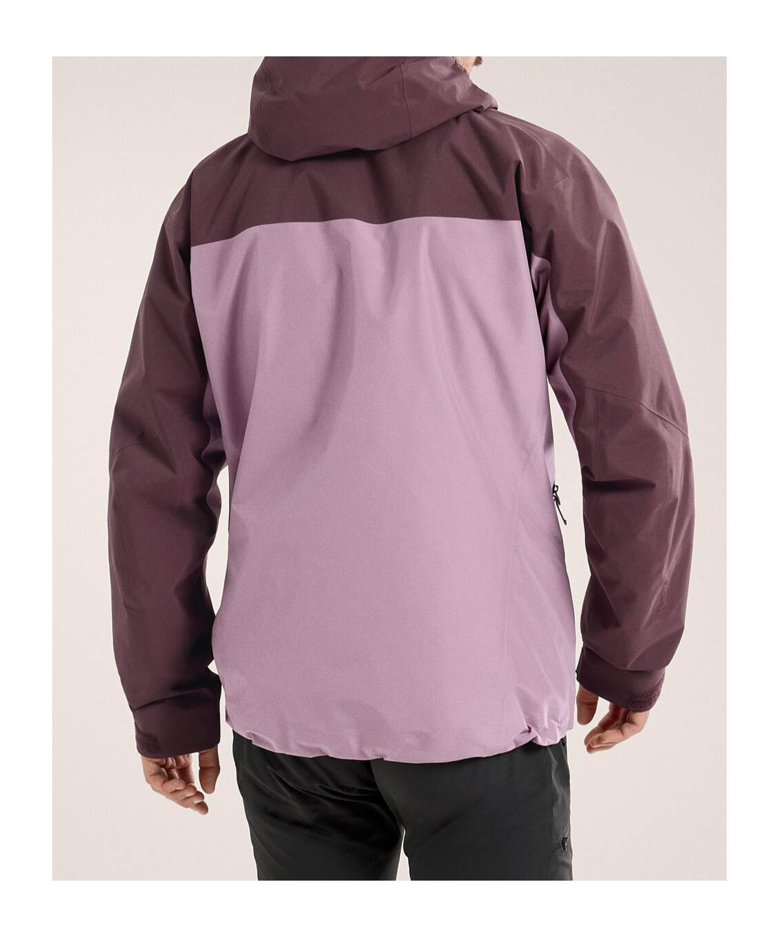 Arc'teryx Beta Ar Hooded Jacket In Multicolor