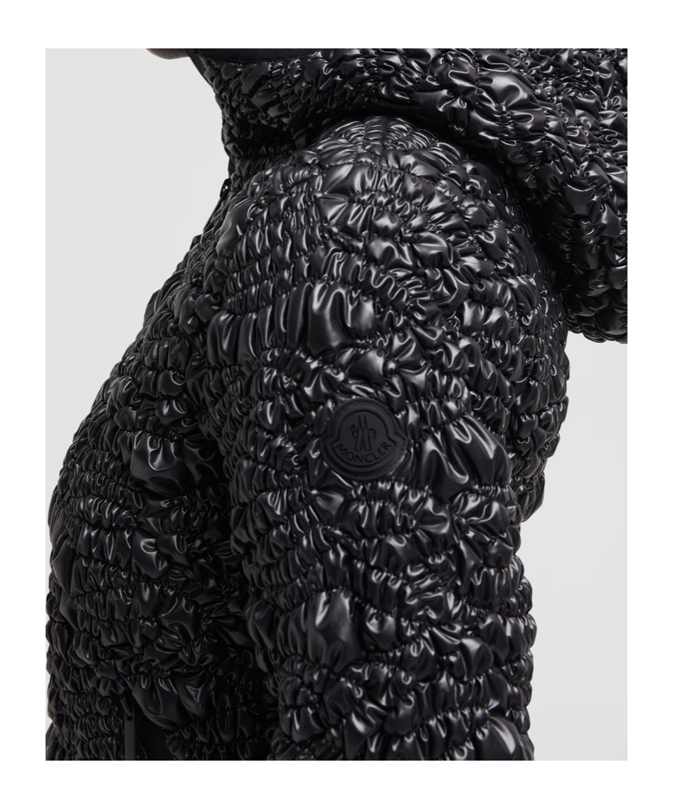 Moncler Champraz Jacket In Black