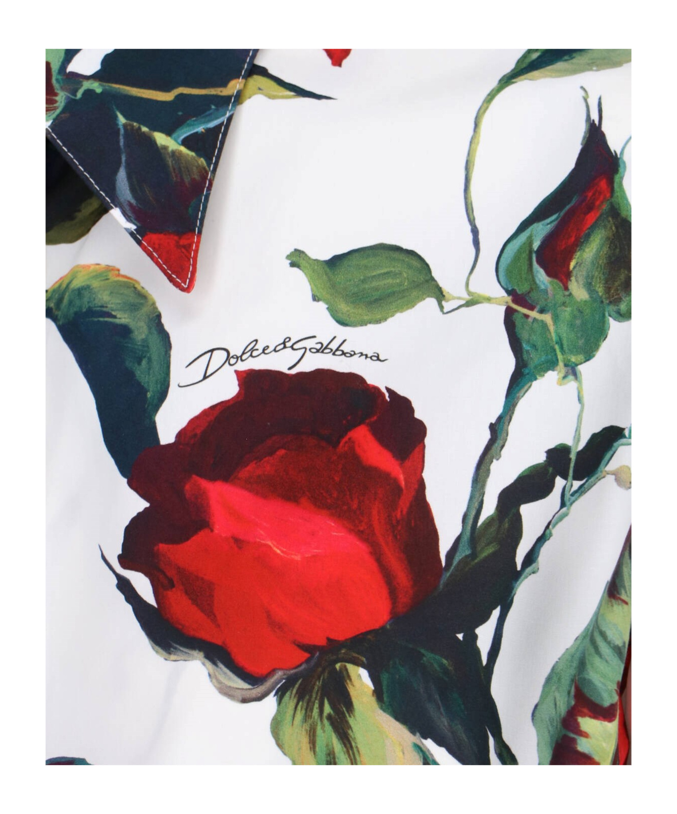 Dolce & Gabbana Cropped Tie-detailed Floral-print Cotton-poplin Shirt In White