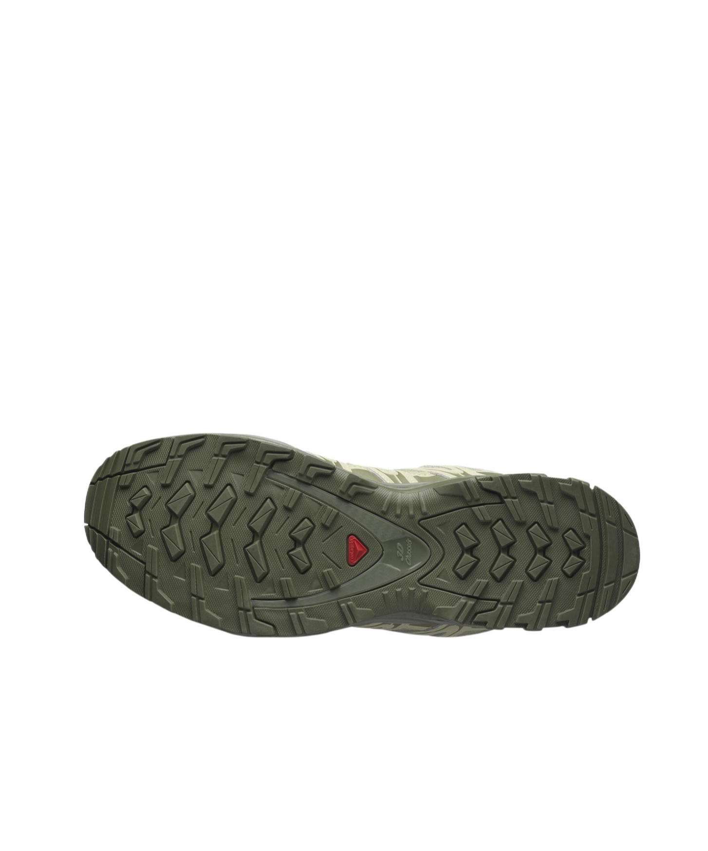Salomon Xa Pro 3d Gore-tex Sneakers In Gray