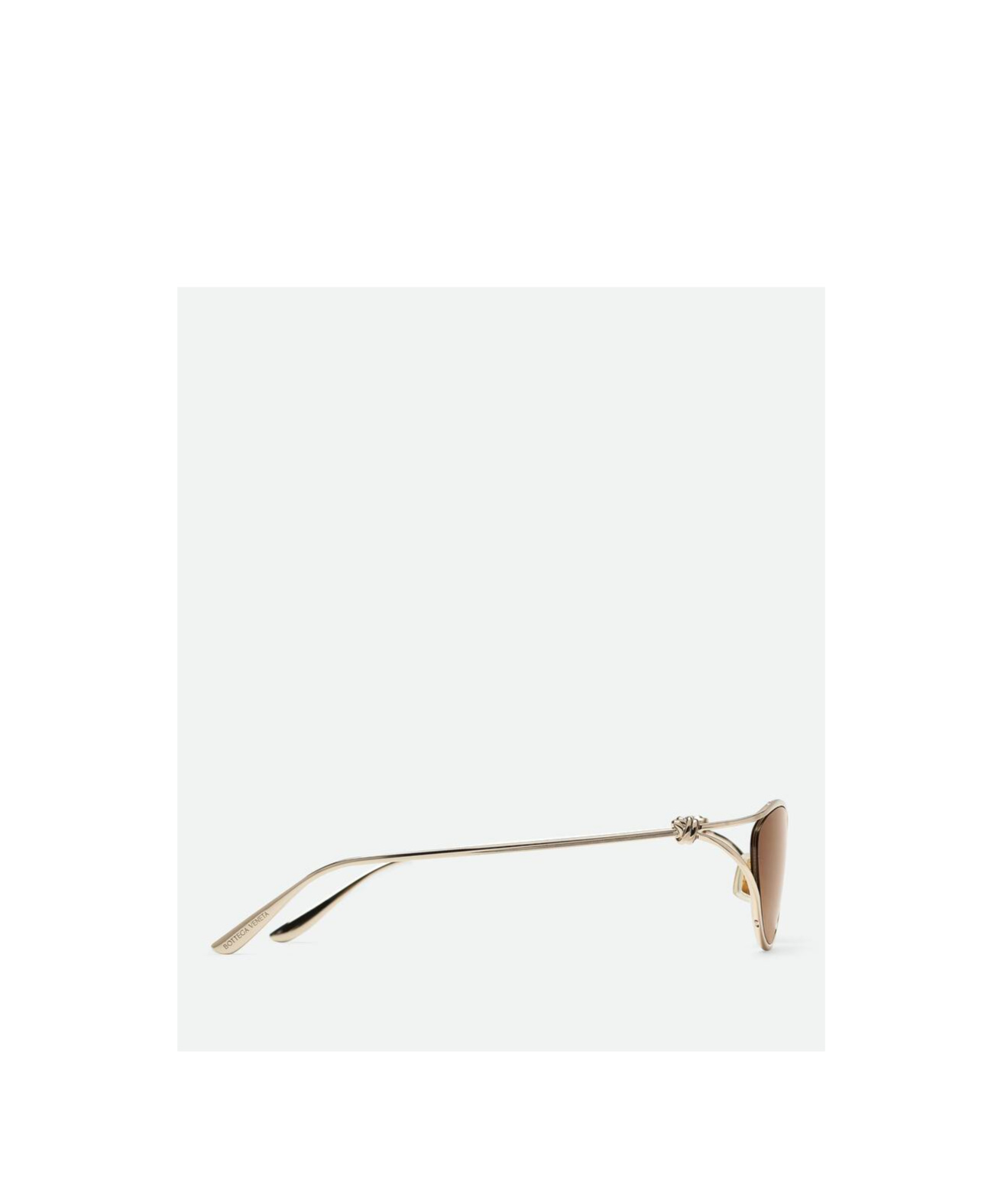 Bottega Veneta Eyewear Cat Eye Frame Sunglasses In Brown