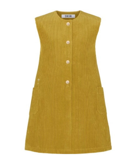 Dior A Line Dress In Yellow