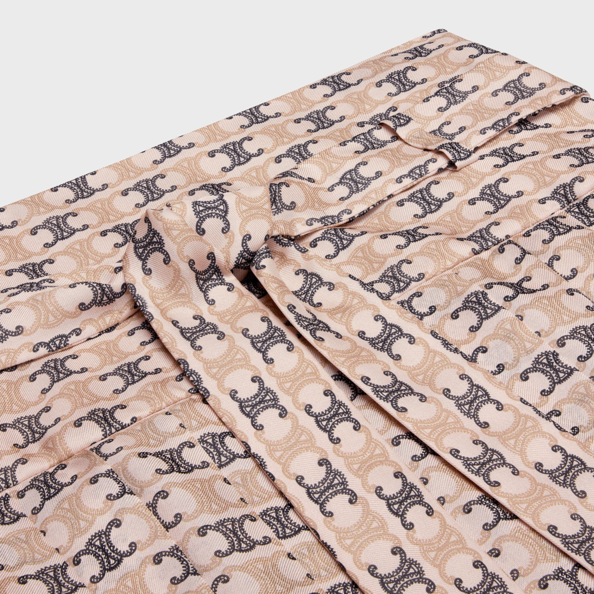 CELINE PLEATED SKIRT IN SILK GEORGETTE