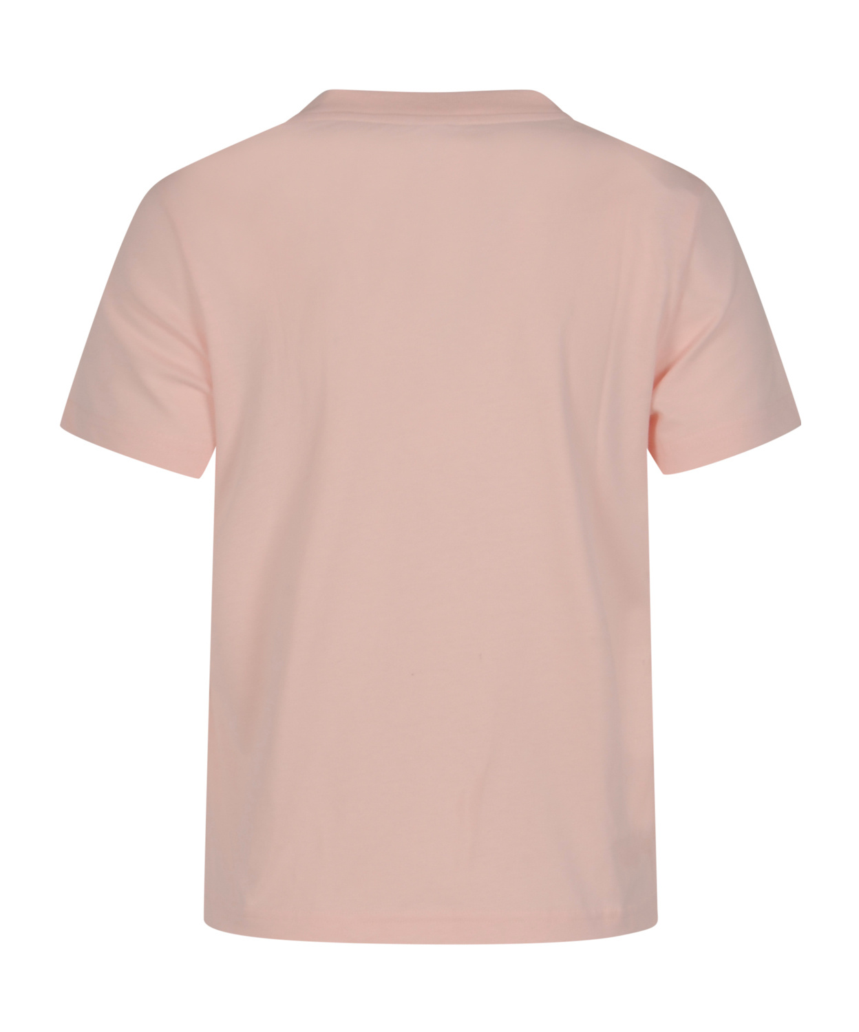 Casablanca Cotton Crew Neck T-shirt With Graphic Print In Pink