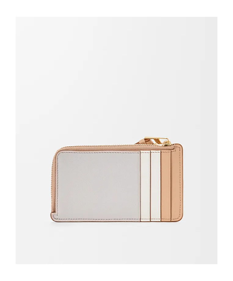 Loewe Leather Puzzle Coin Card Holder In Neutral