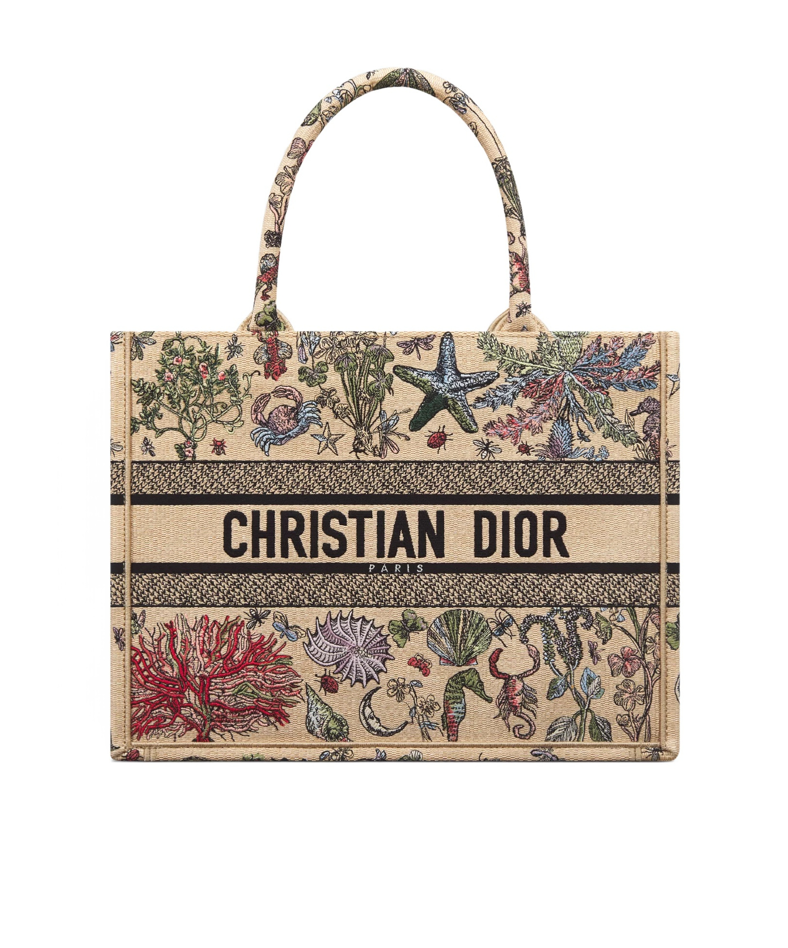 Dior Medium Booktote Handbag In Nude