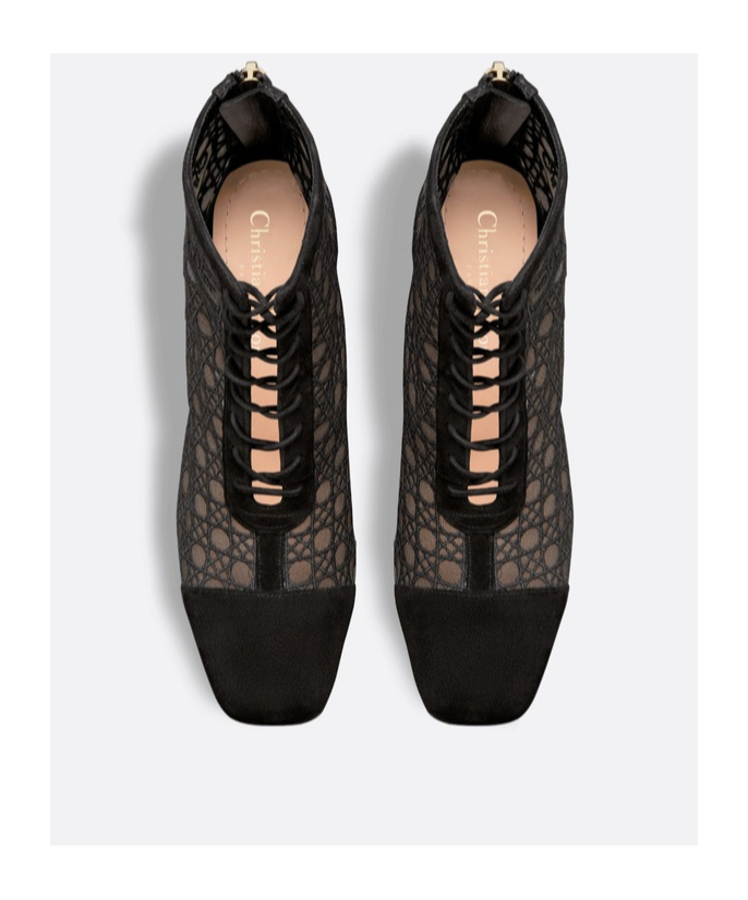 Dior Naughtily-d High-heeled Short Boots In Black