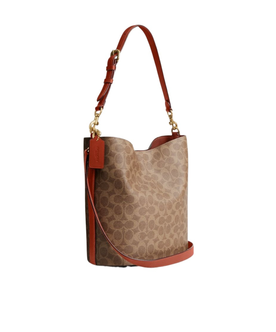 Coach Willow Bucket Bag And Shoulder Bag In Brown