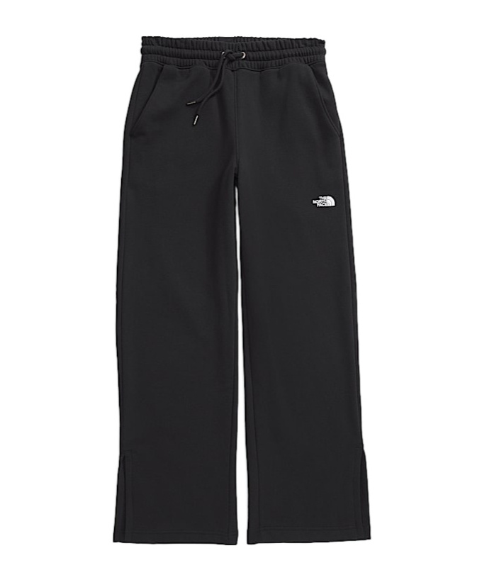 The North Face Womens Evolution Pants In Black