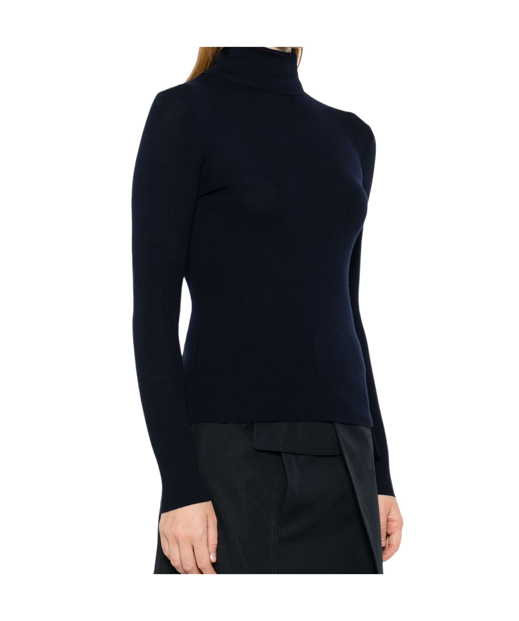 Shop P.a.r.o.s.h Turtleneck Sweater In Black