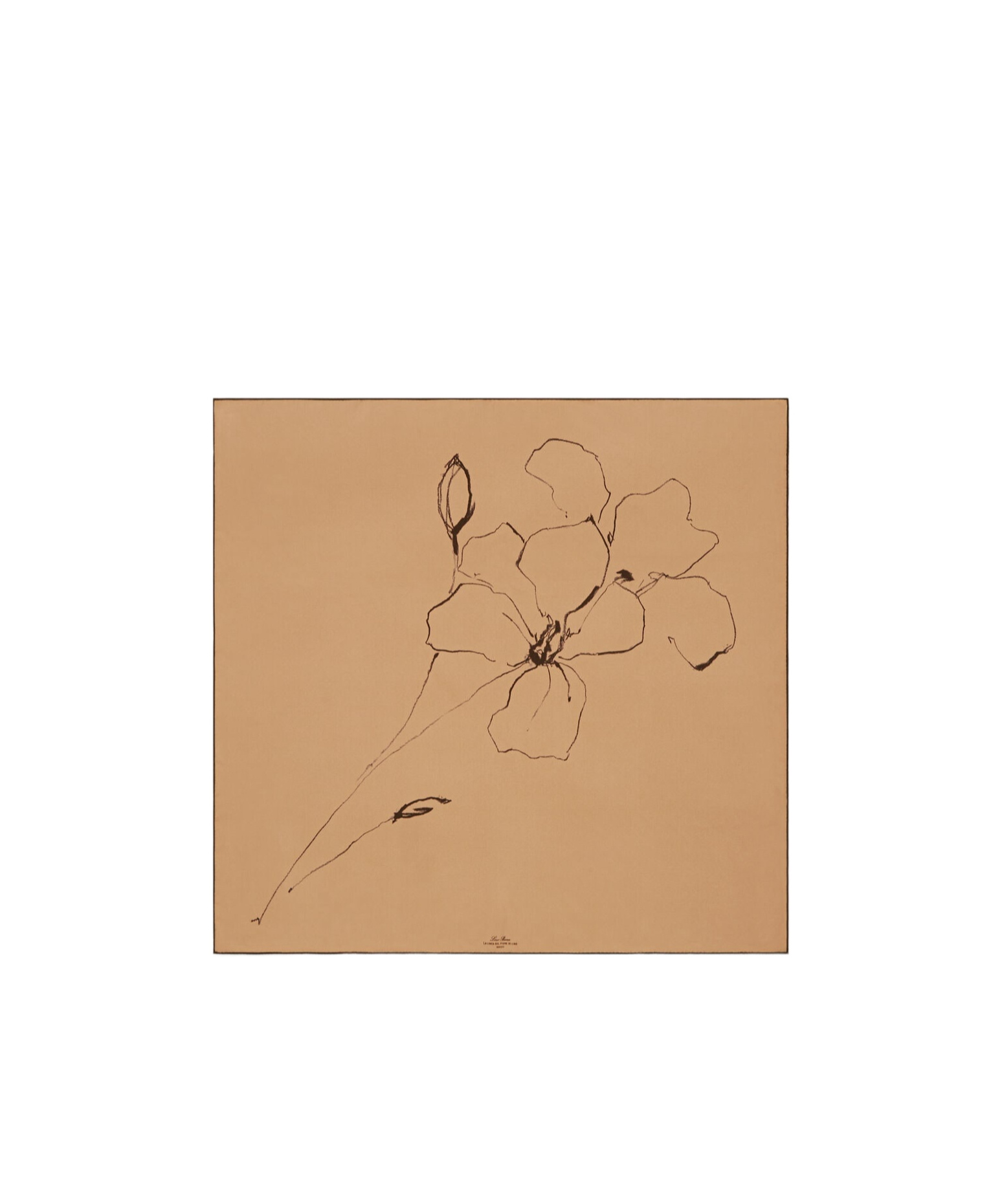 Loro Piana Pattern Silk Scarf In Pine Nuts/carob Bean