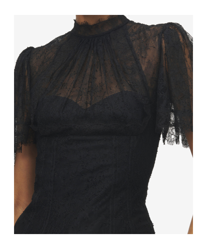 Alexander Mcqueen High Neck Sheer Lace Short Sleeve Top In Black