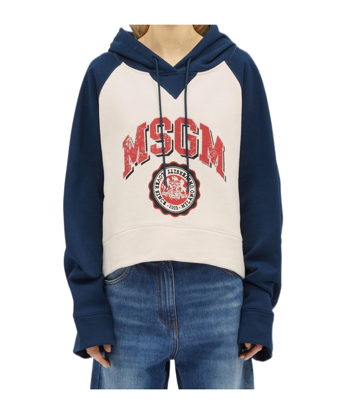 Msgm Hoodie Mit Logo-print In Multicolor