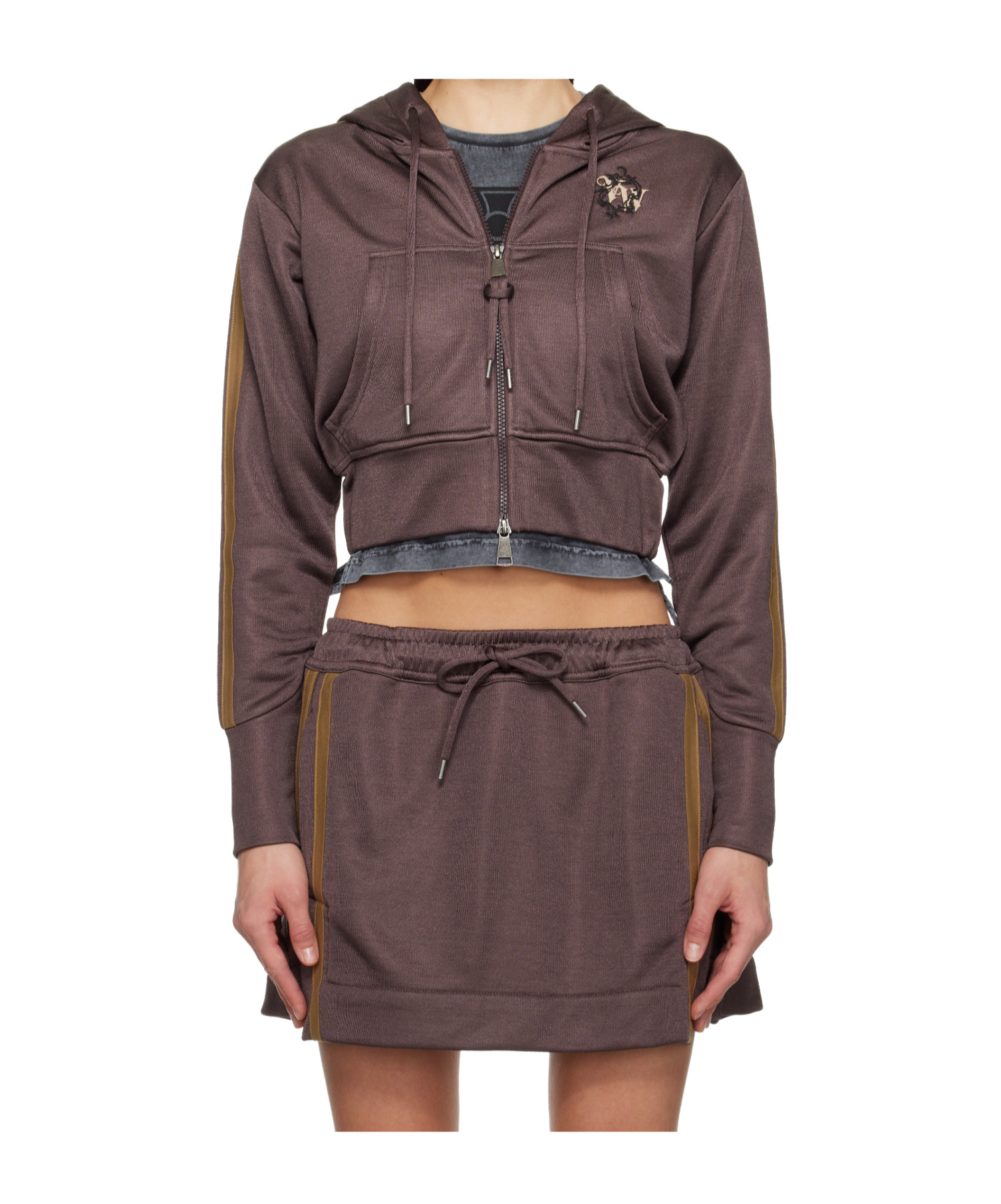 Vivienne Westwood Striped Leo Hoodie In Brown