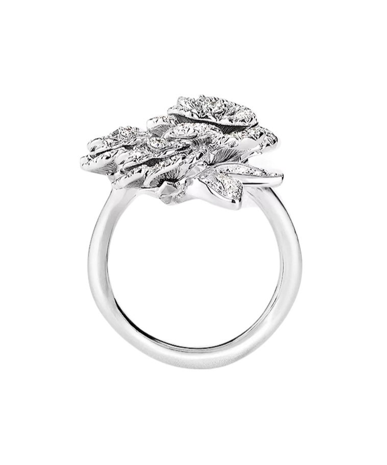 Dior Rose Bagatelle Ring In Red