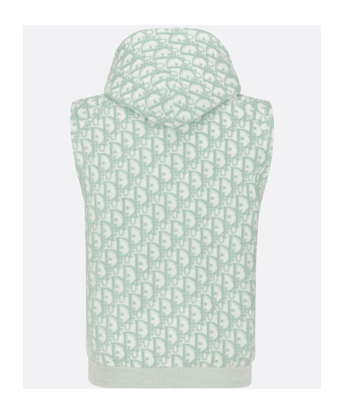 Dior Oblique Hooded Sleeveless Hoodie In Green