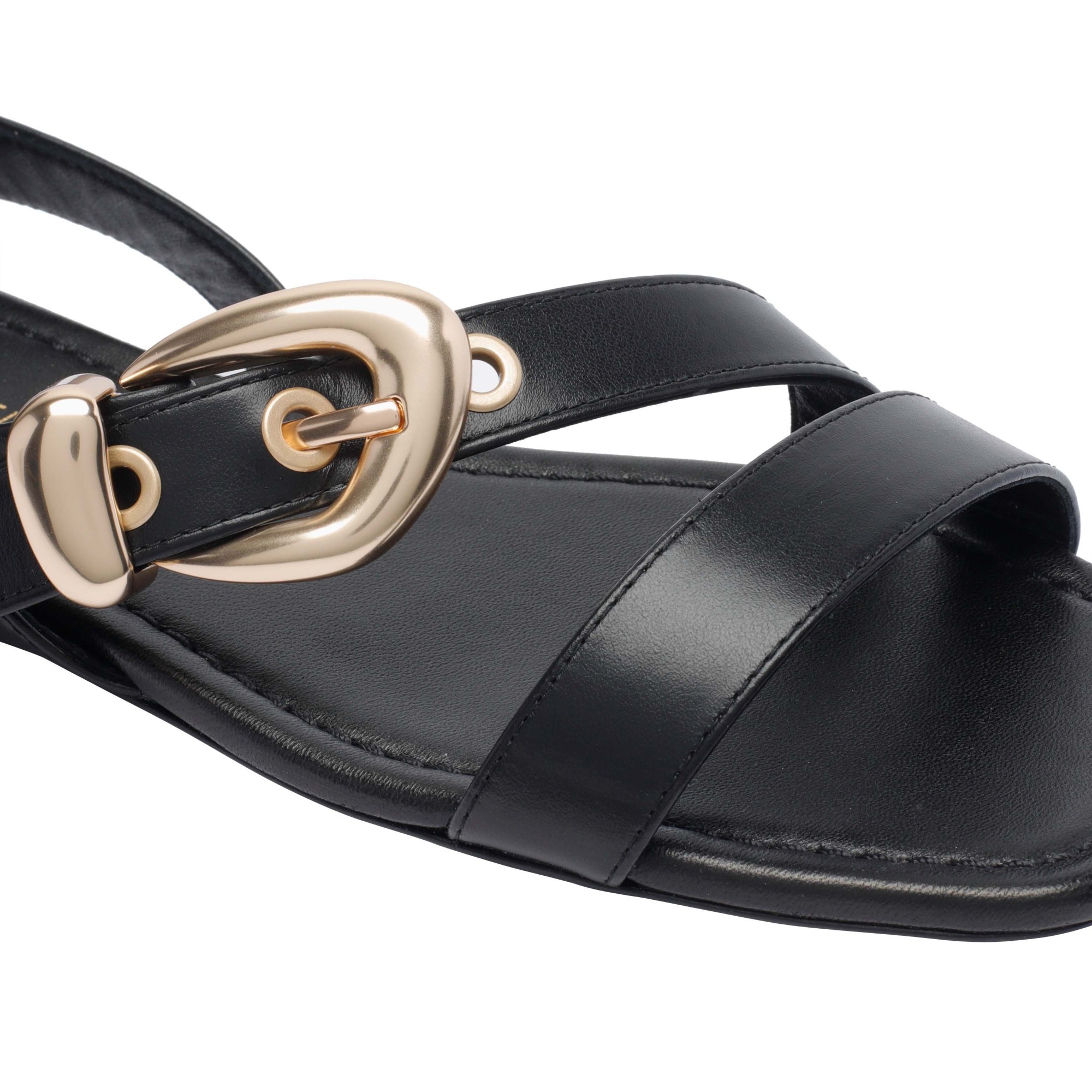 Stuart Weitzman Maven Leather Buckle Flat Sandals