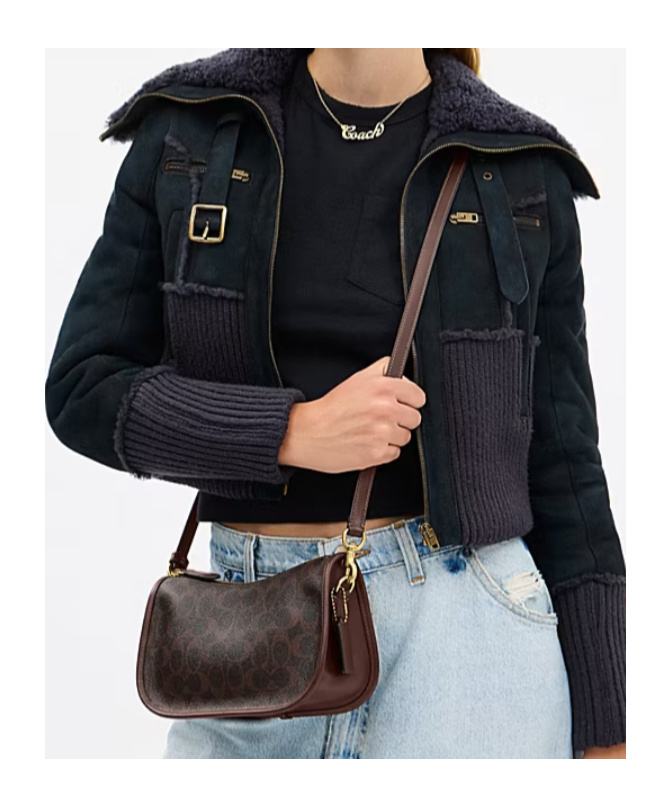 Coach Zipper Shoulder Bag In Brown
