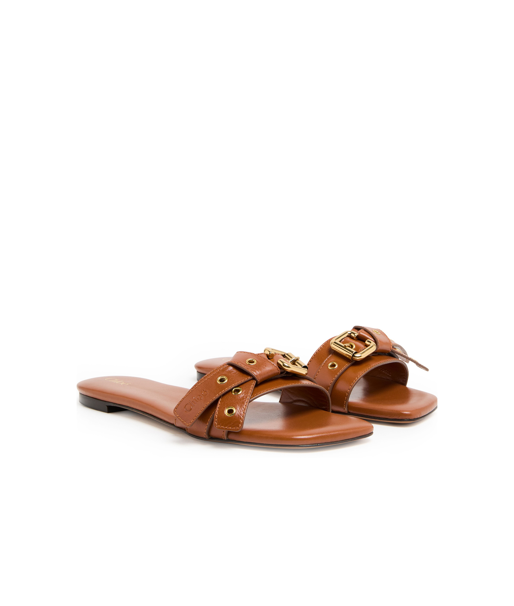 Chloé Mae Leather Buckle Flat Slide Sandals In Brown