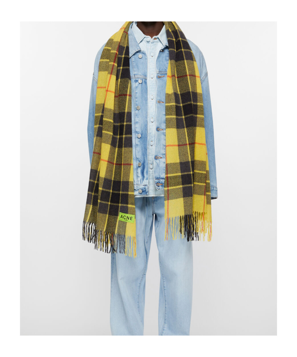 Acne Studios Plaid Fringed Scarf In Green