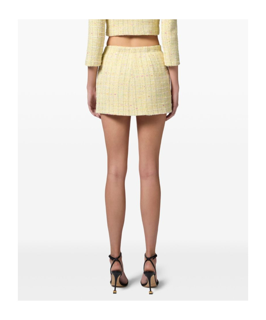 Elisabetta Franchi Button Skirt In Nude