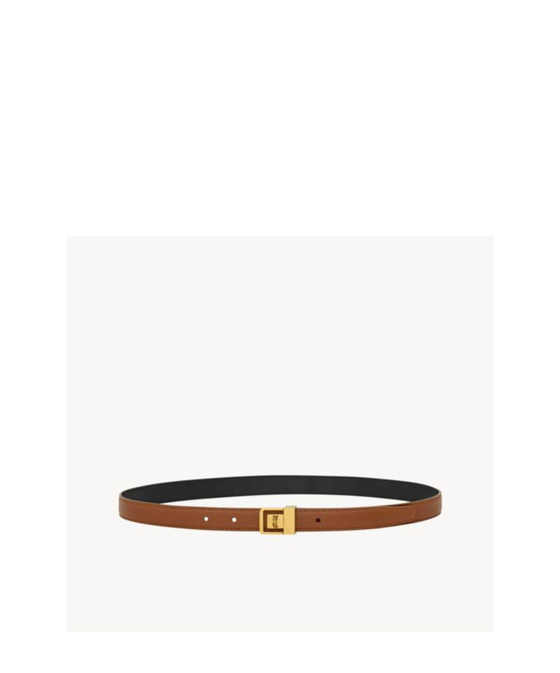Saint Laurent La66 Belt In Brown