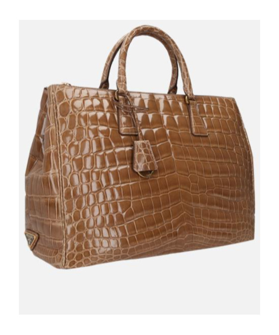 Prada Logo Handbag In Brown