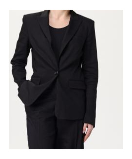Pinko Single-breasted Tailored Blazer In Black