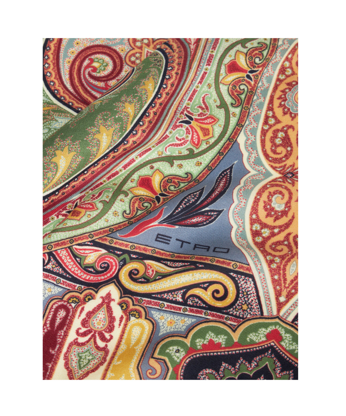 Etro Paisley Printed Gabardine Weave Scarf In Multi