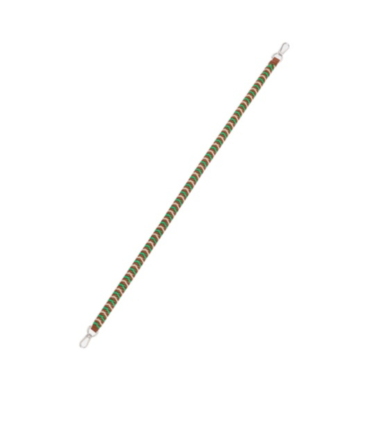 Loewe Woven Strap In Leather In Multicolored/green