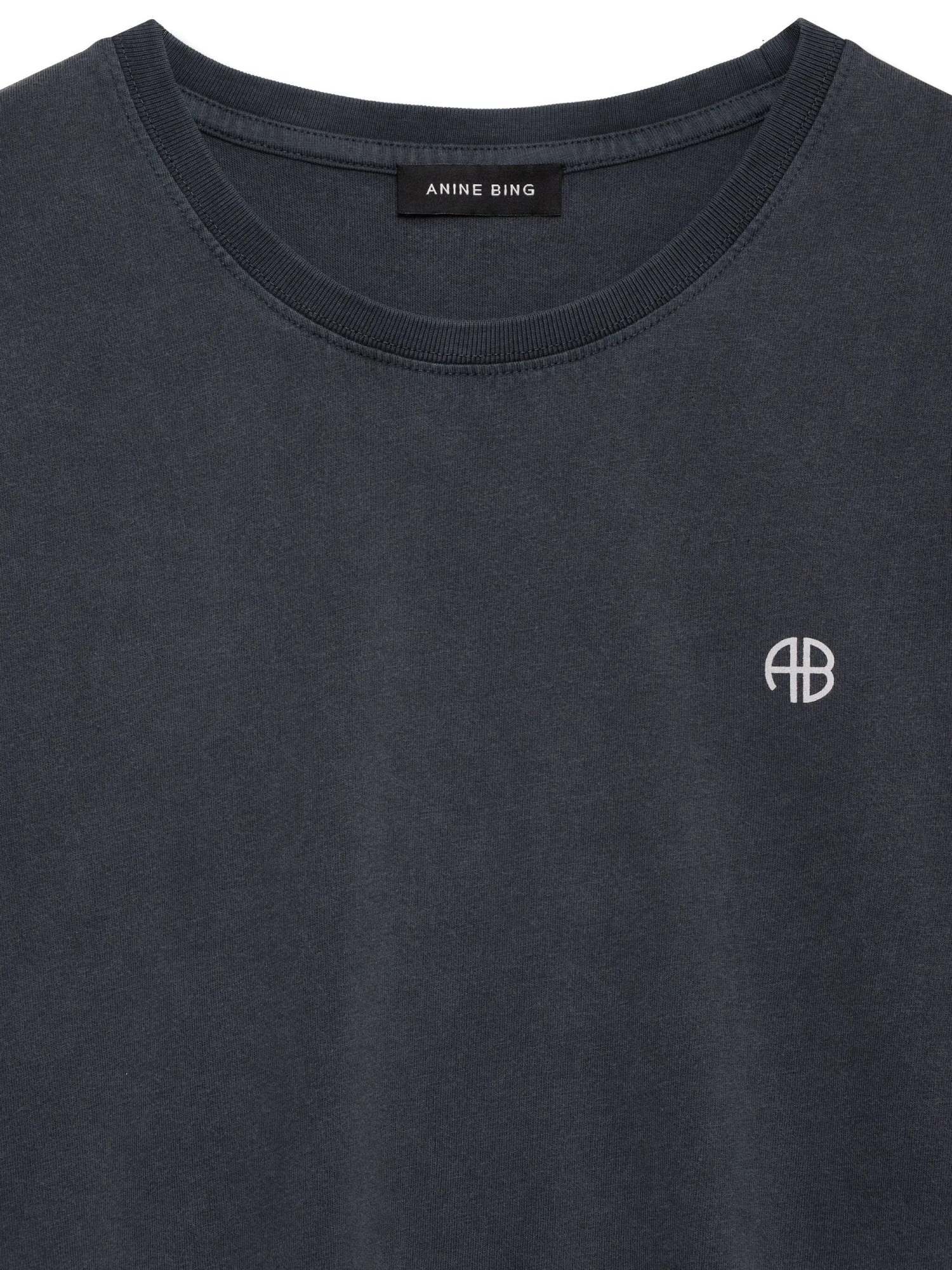 Anine Bing Rudy Graphic-print T-shirt In Gray