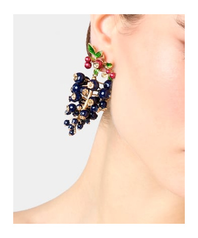 Roger Vivier Earrings
