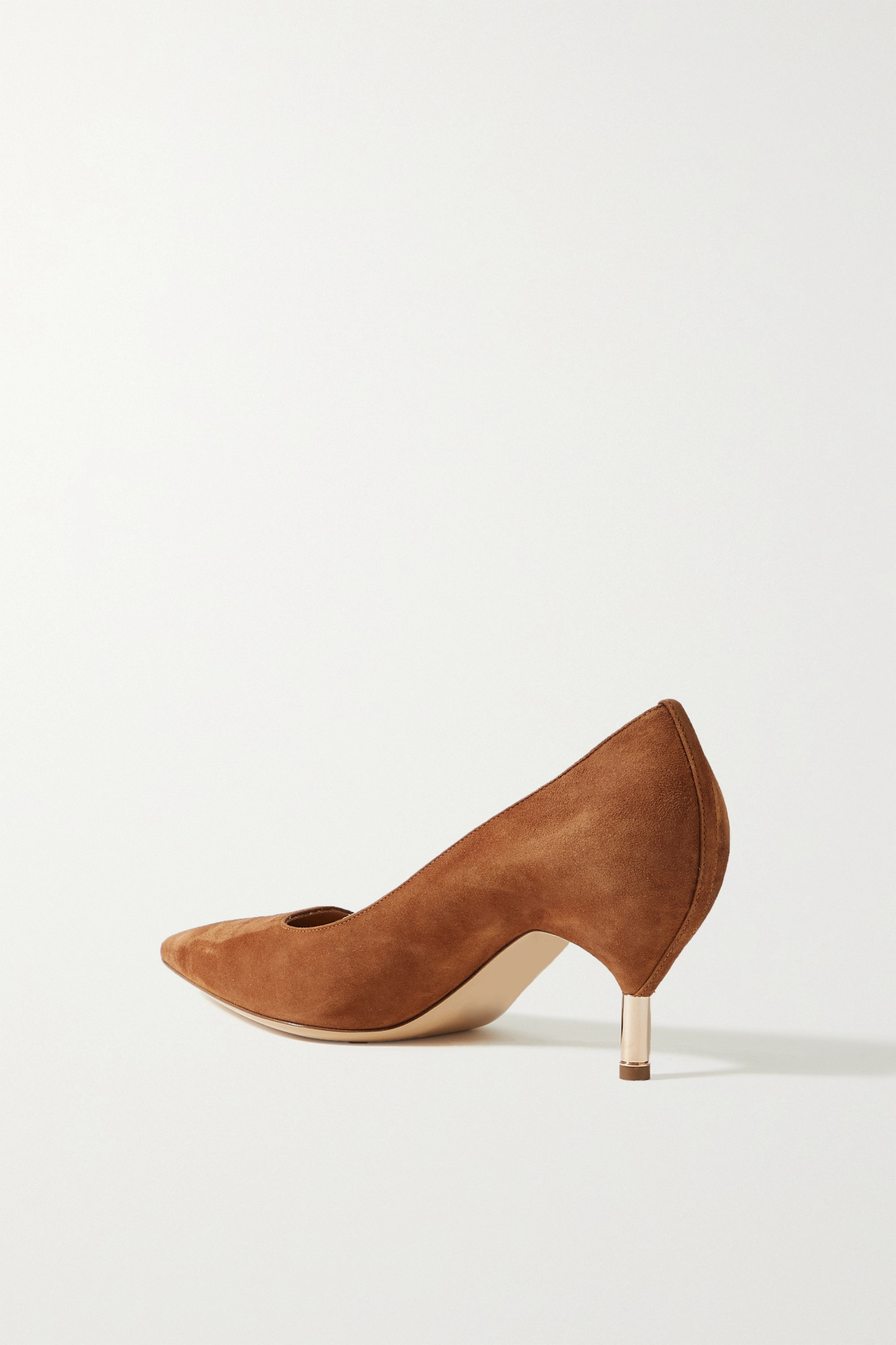Gabriela Hearst Pointed-toe High Heels In Brown